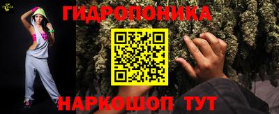 спиды Можга
