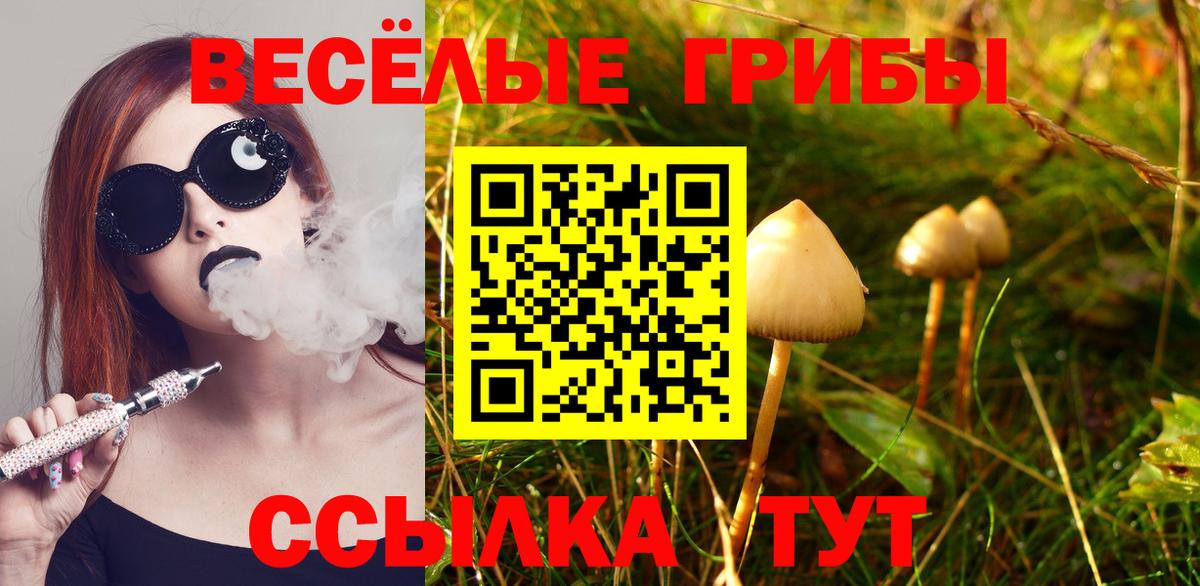 Псилоцибиновые грибы Psilocybe Алейск